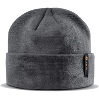 Thinsulate Beanie